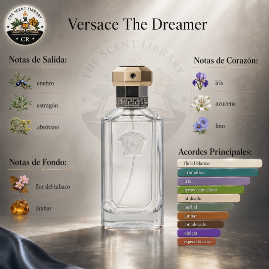 Versace The Dreamer