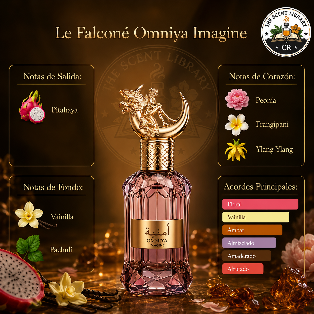 Le Falcone Omniya Imagine