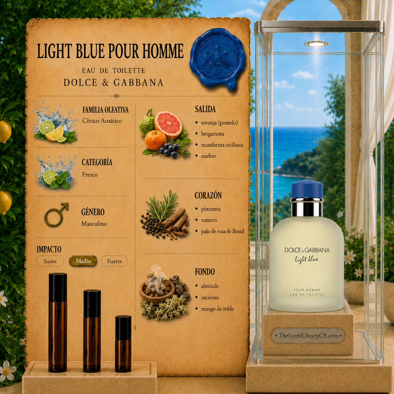Dolce & Gabbana Light Blue Pour Homme EDT