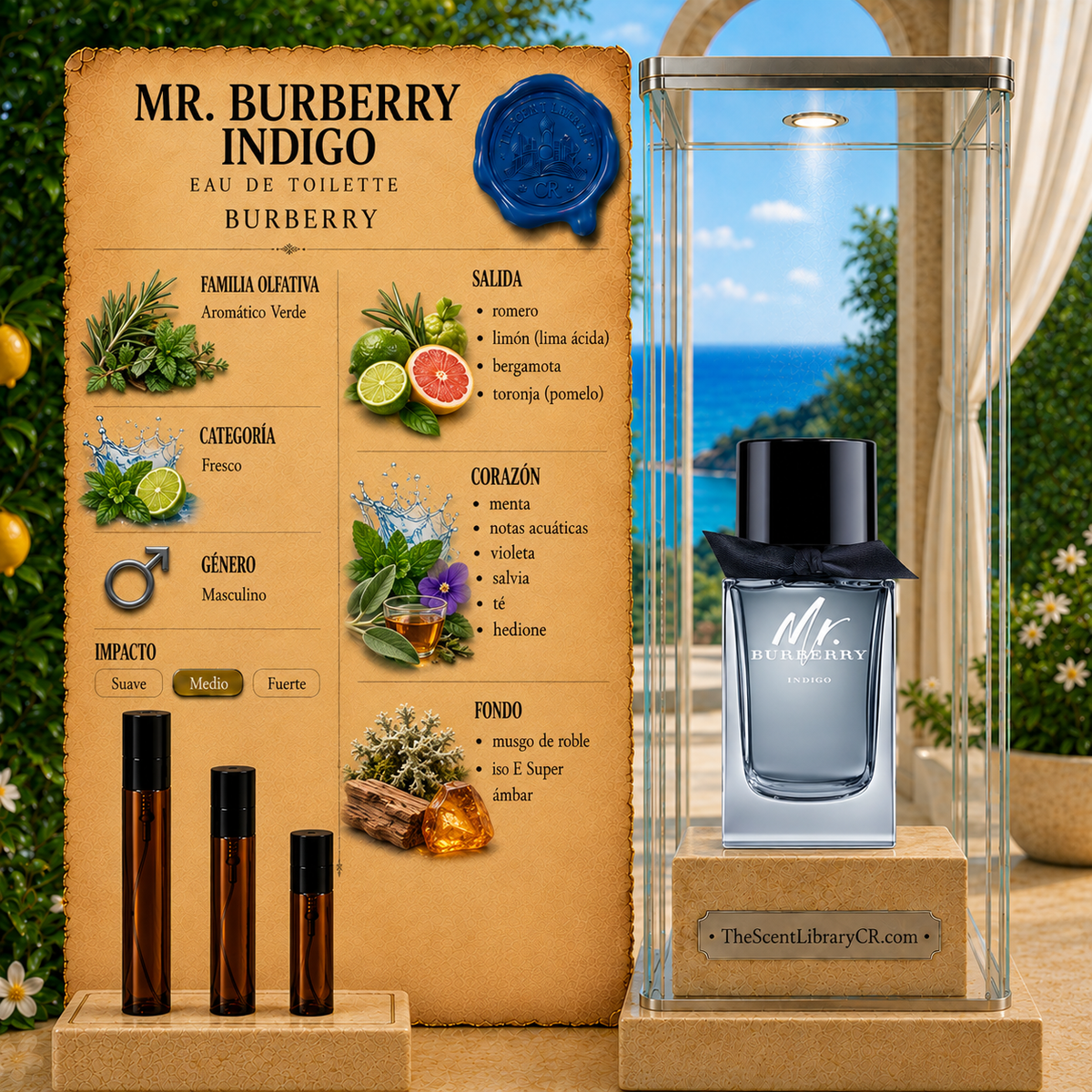 Imagen de notas de Burberry Mr. Burberry Indigo