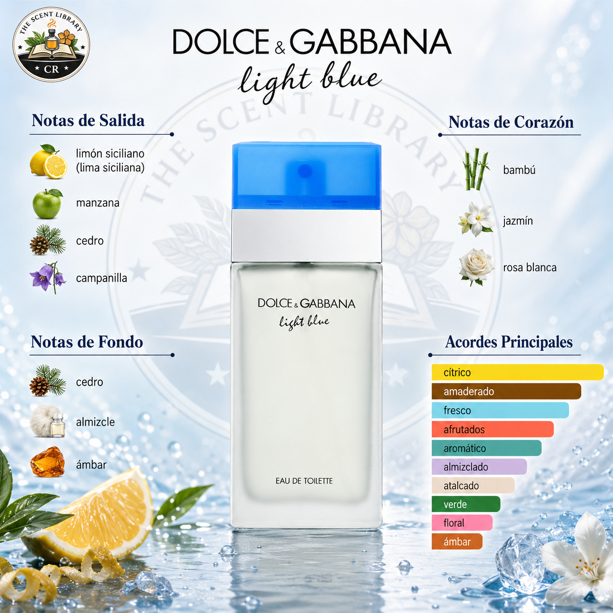 Dolce & Gabbana Light Blue EDT