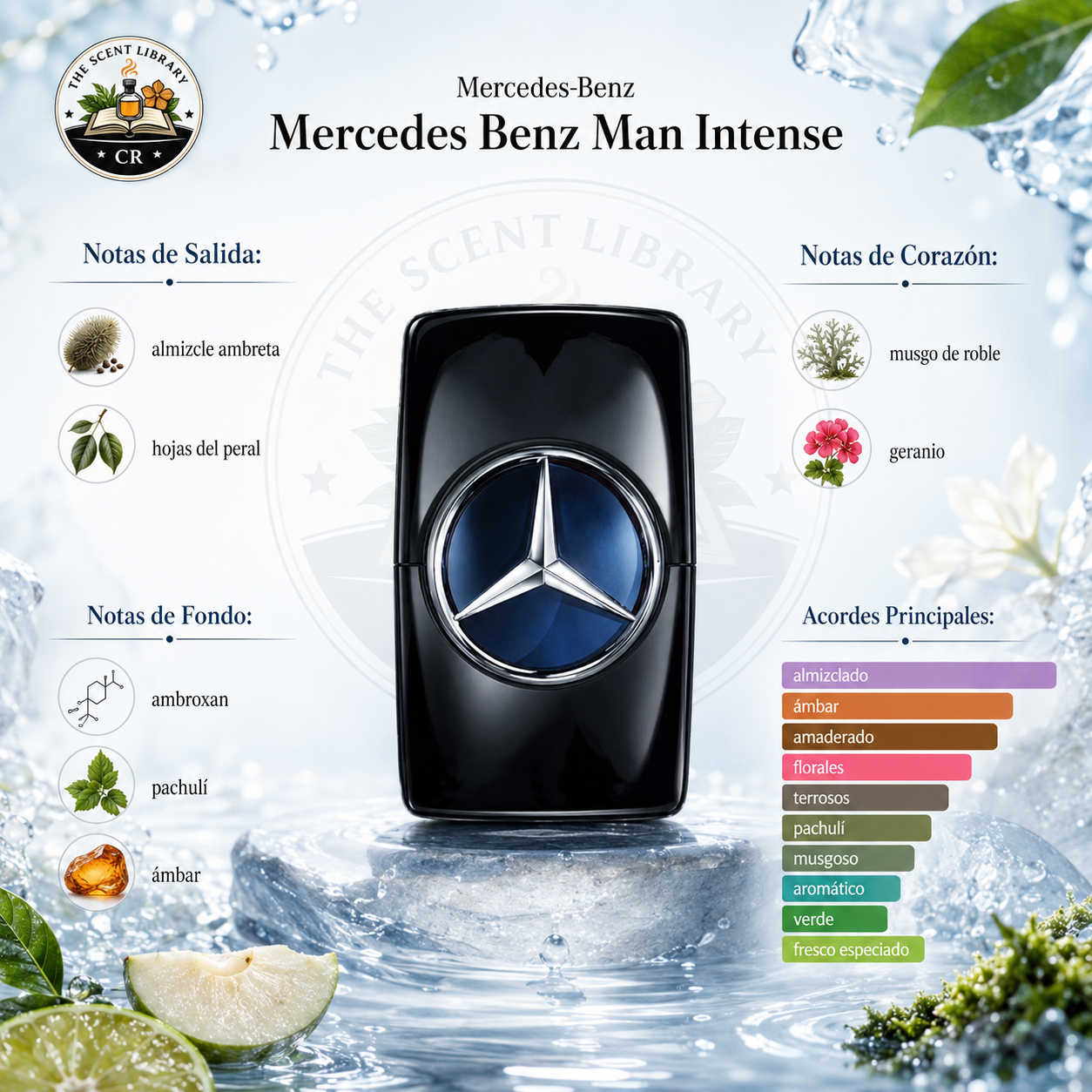 Mercedes-Benz Mercedes-Benz Man Intense