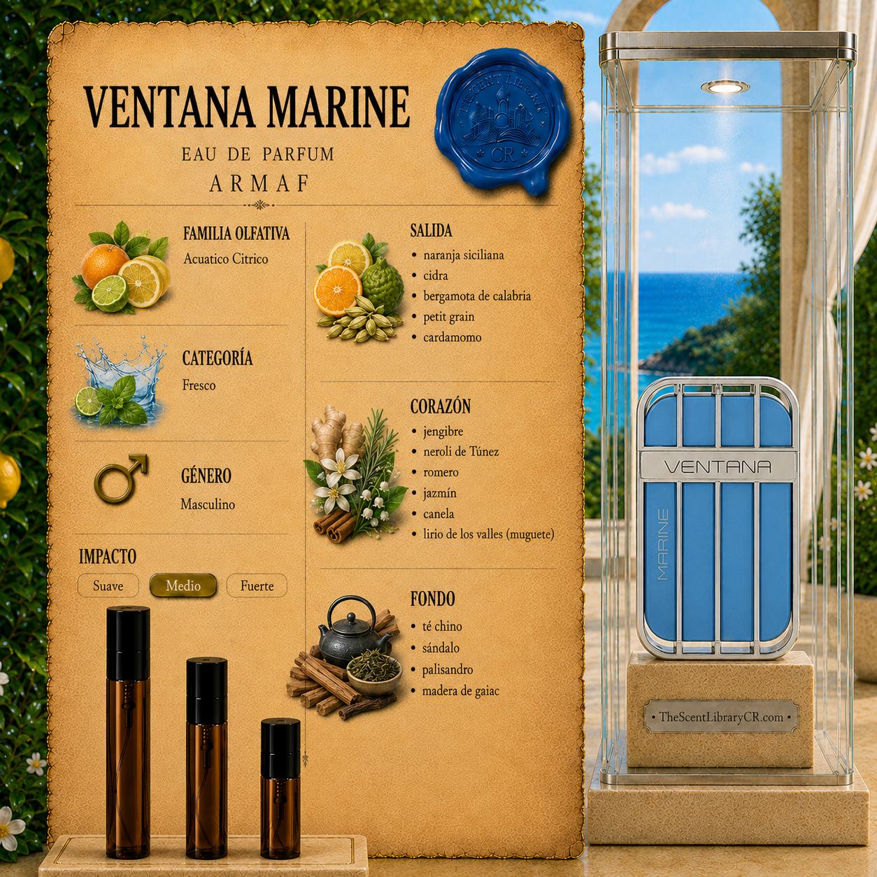 Armaf Ventana Marine